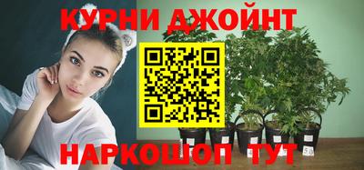 мдпв Моздок