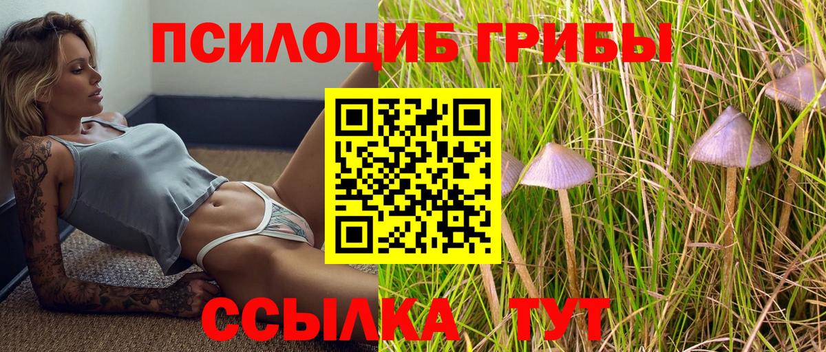 Тольятти  Псилоцибиновые грибы MAGIC MUSHROOMS  Галлюциногенные грибы мицелий  даркнет сайт  Вход с VPN 