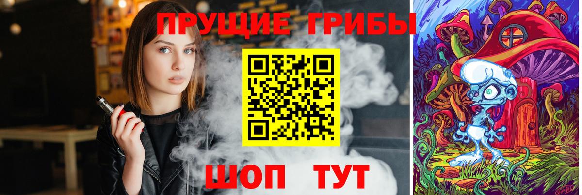 Галлюциногенные грибы Psilocybe Тольятти