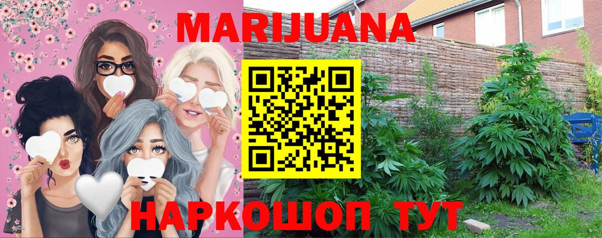 Тольятти  Конопля сатива  Вход с VPN  Марихуана сатива  Бошки марихуана план  Марихуана White Widow 